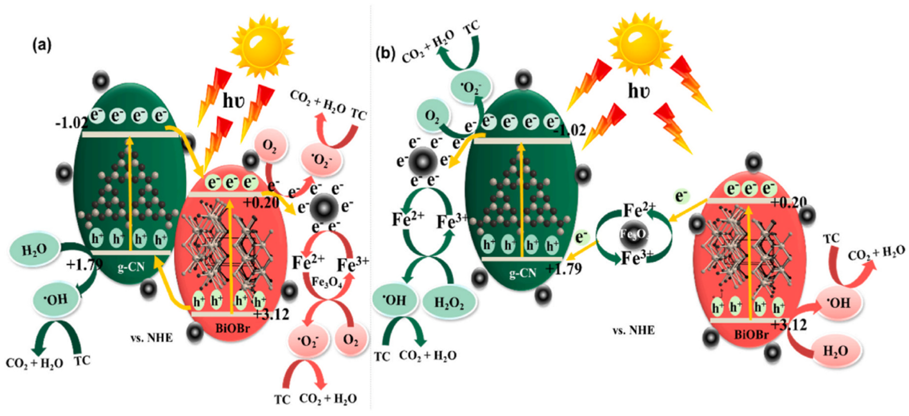Catalysts 13 00925 g004