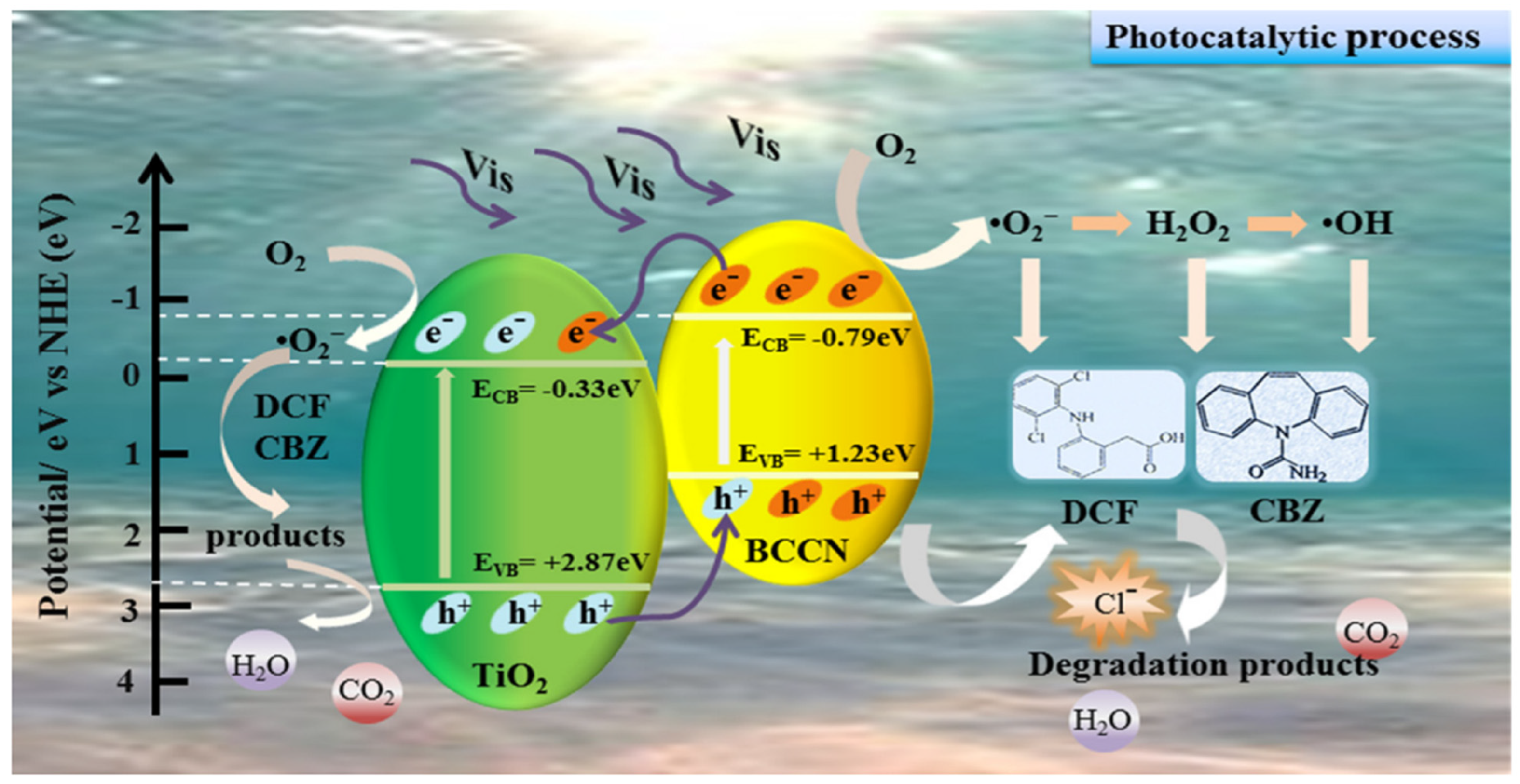 Catalysts 13 00925 g005
