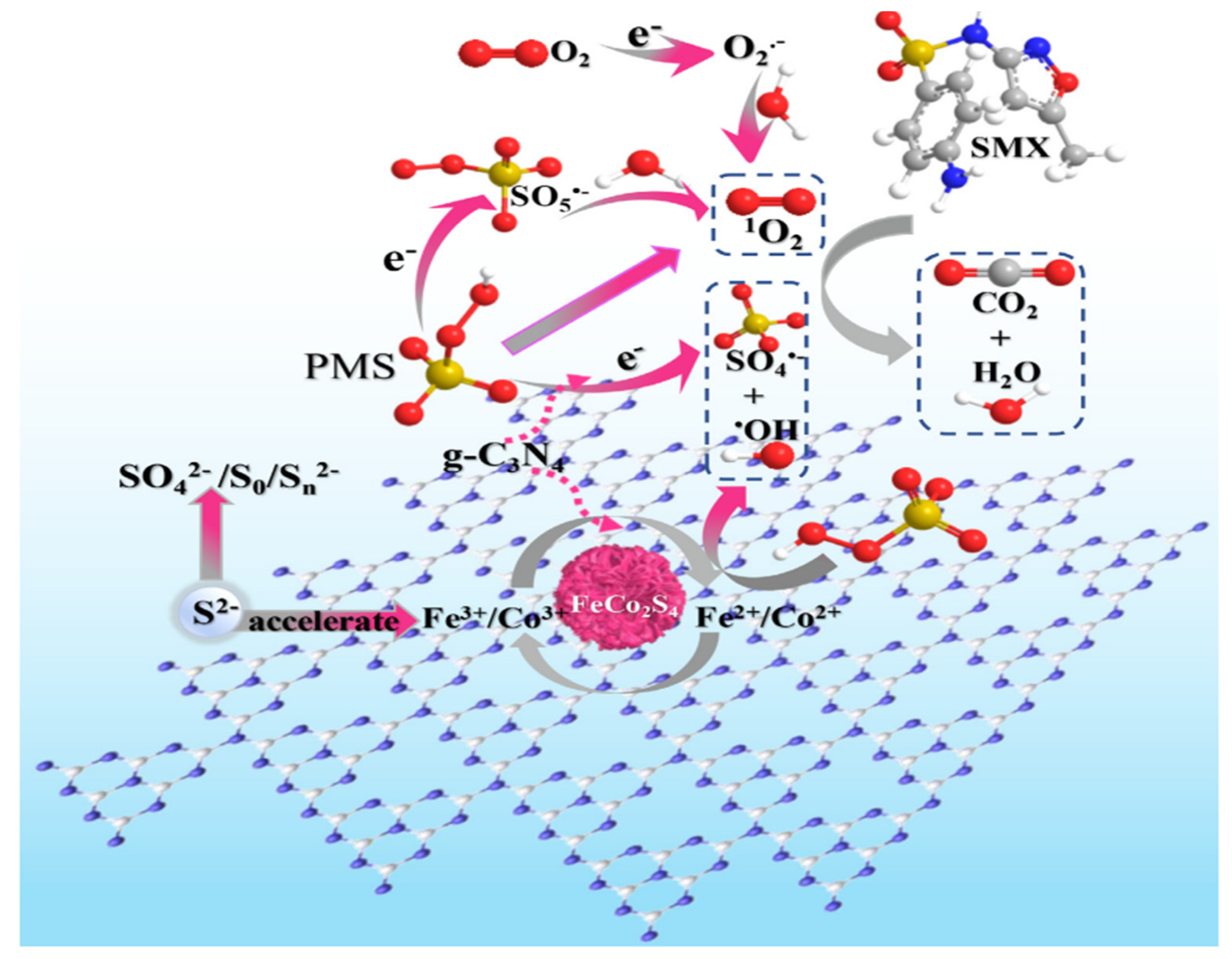 Catalysts 13 00925 g006