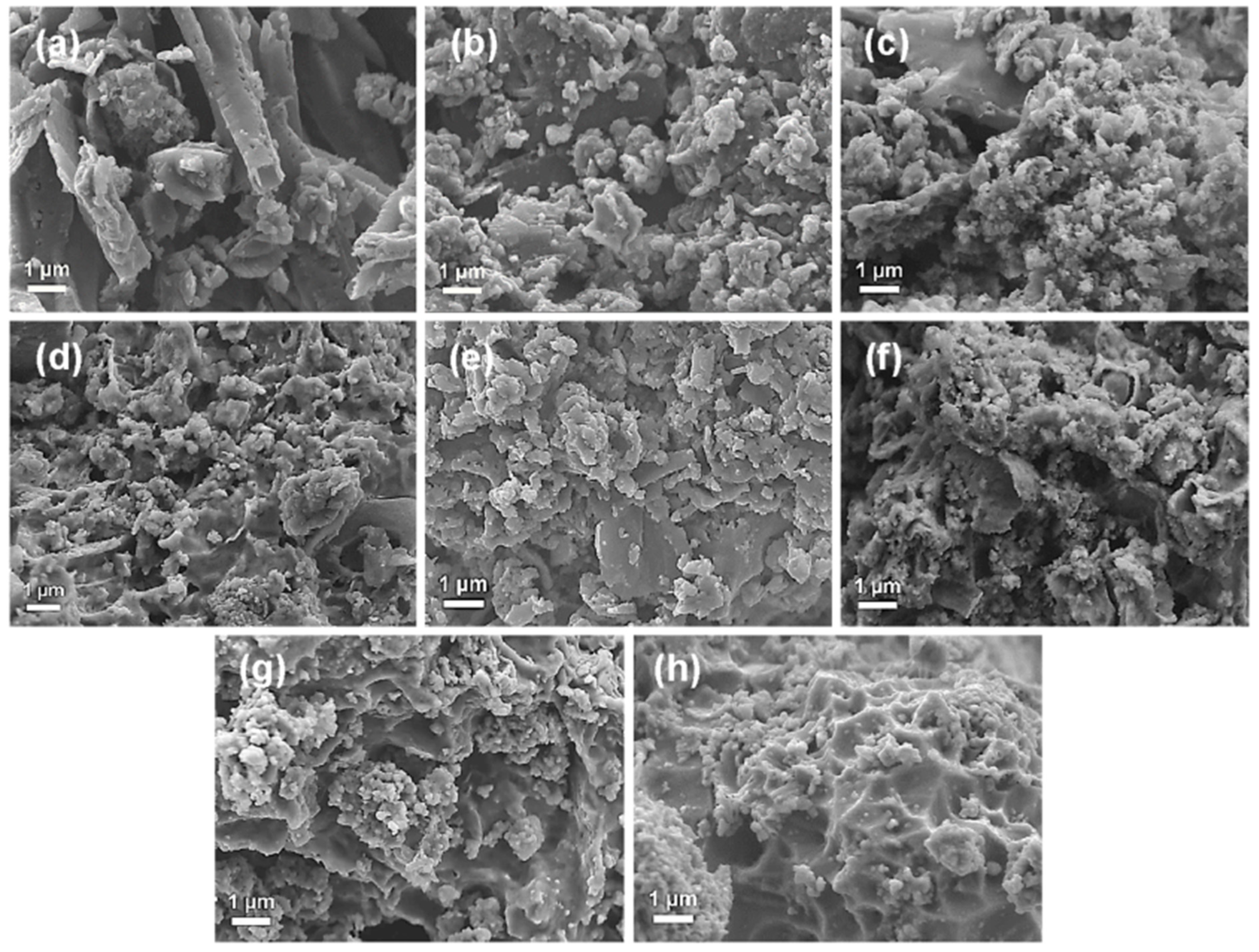 Catalysts 13 00925 g007