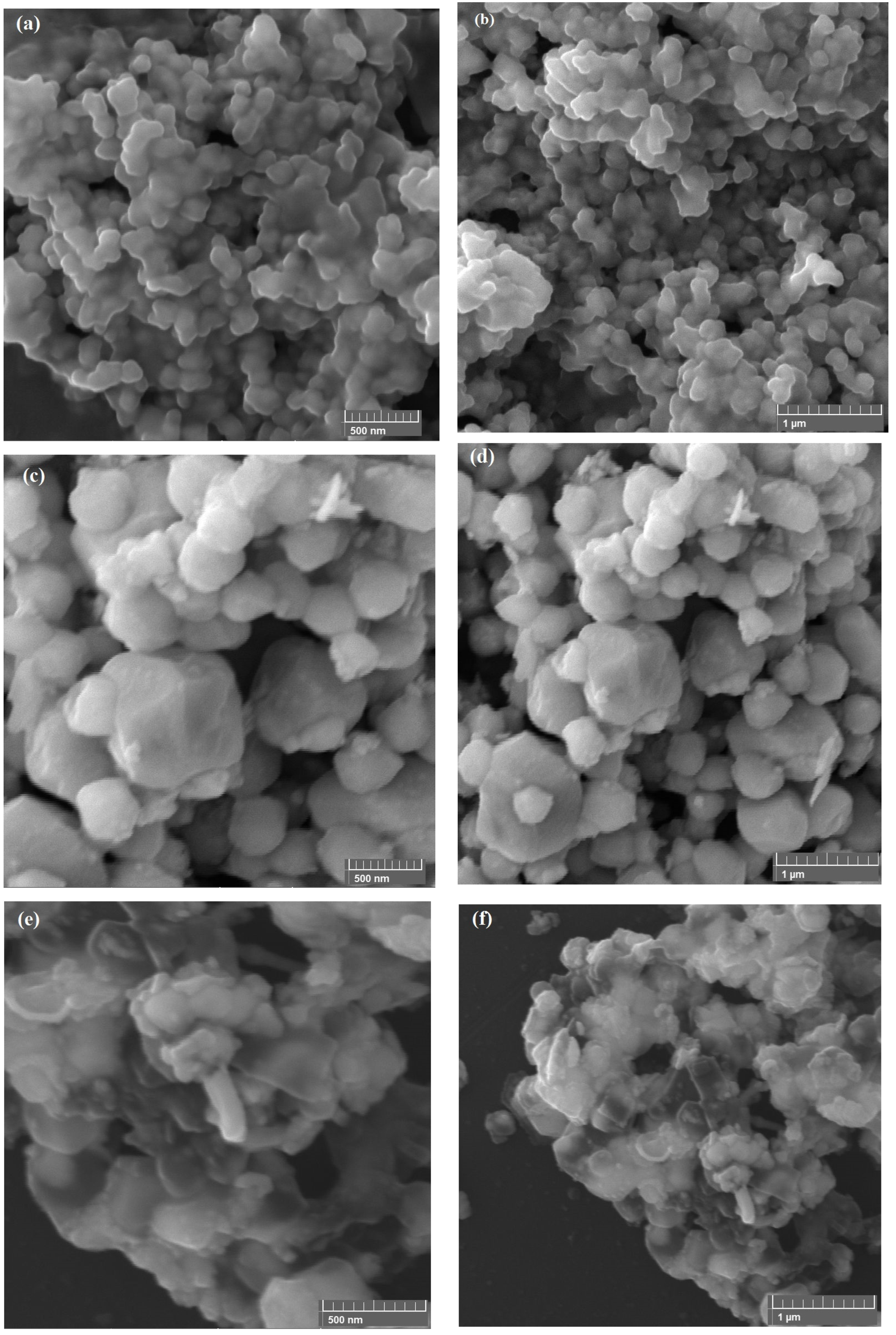 Catalysts 13 00929 g002