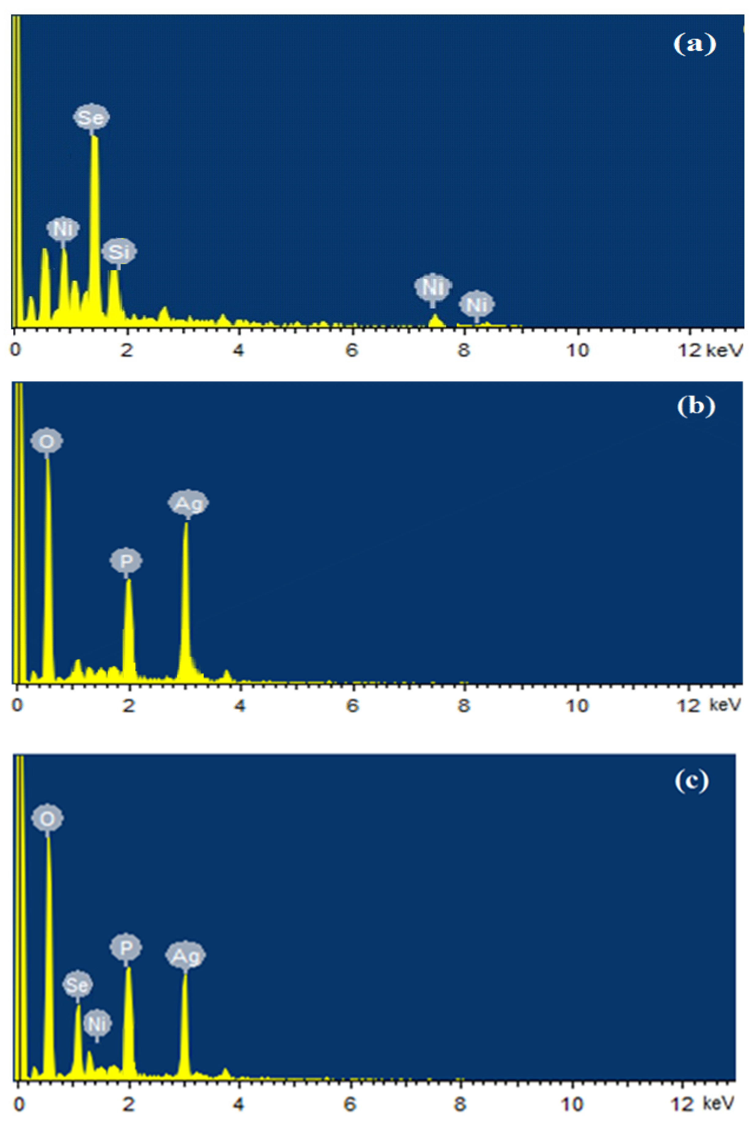 Catalysts 13 00929 g003