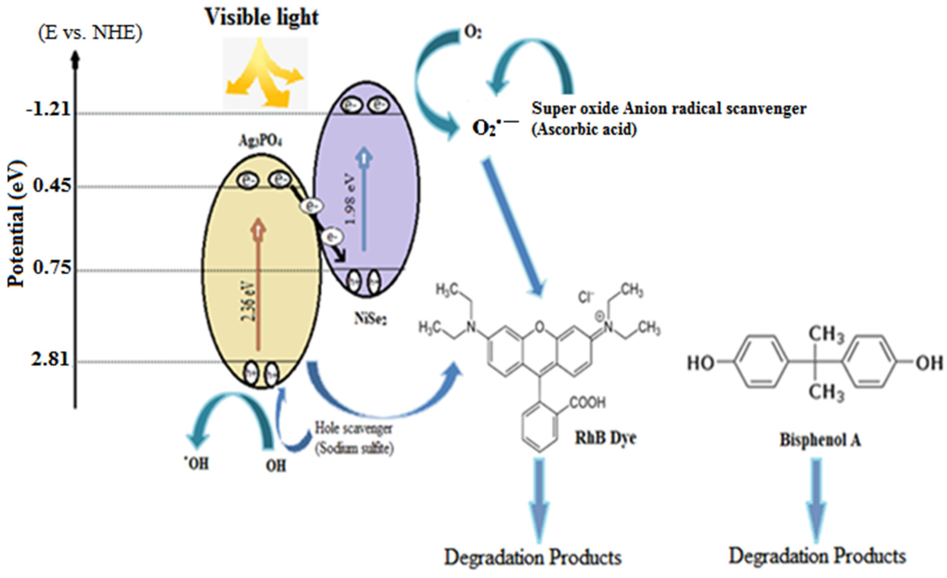 Catalysts 13 00929 g009