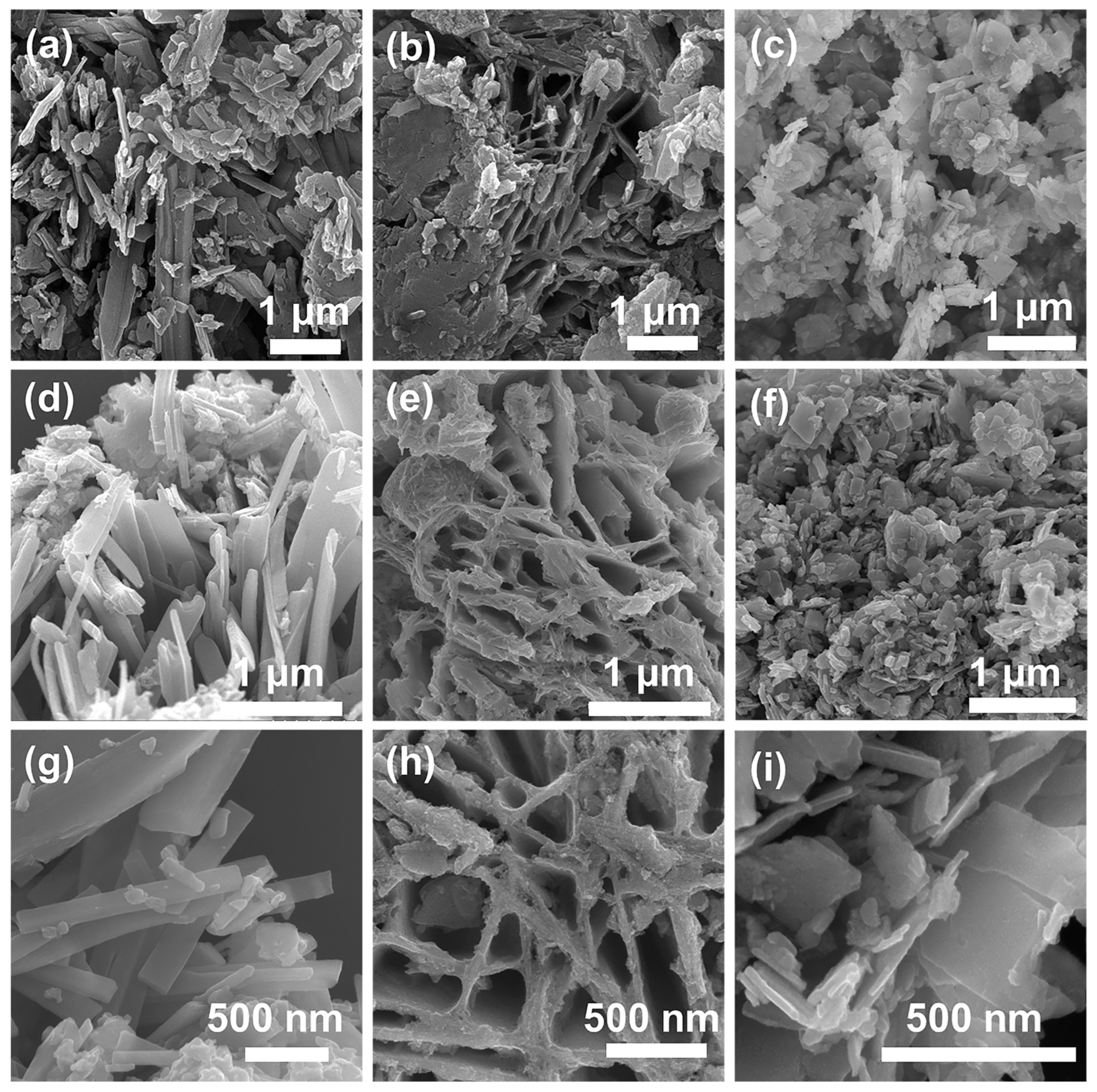 Catalysts 13 00931 g002