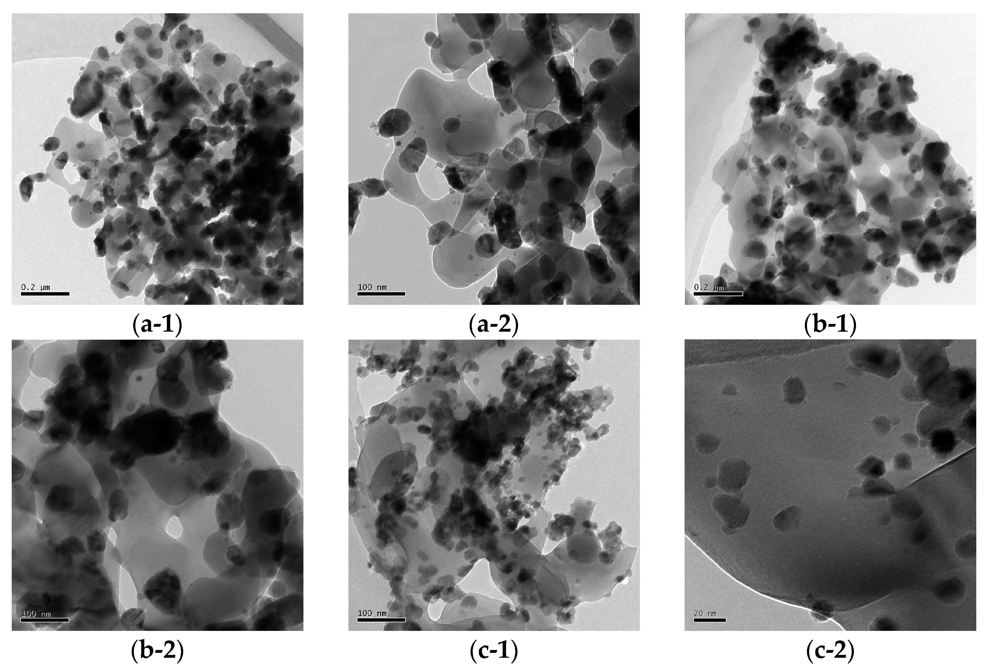 Catalysts 13 00934 g004