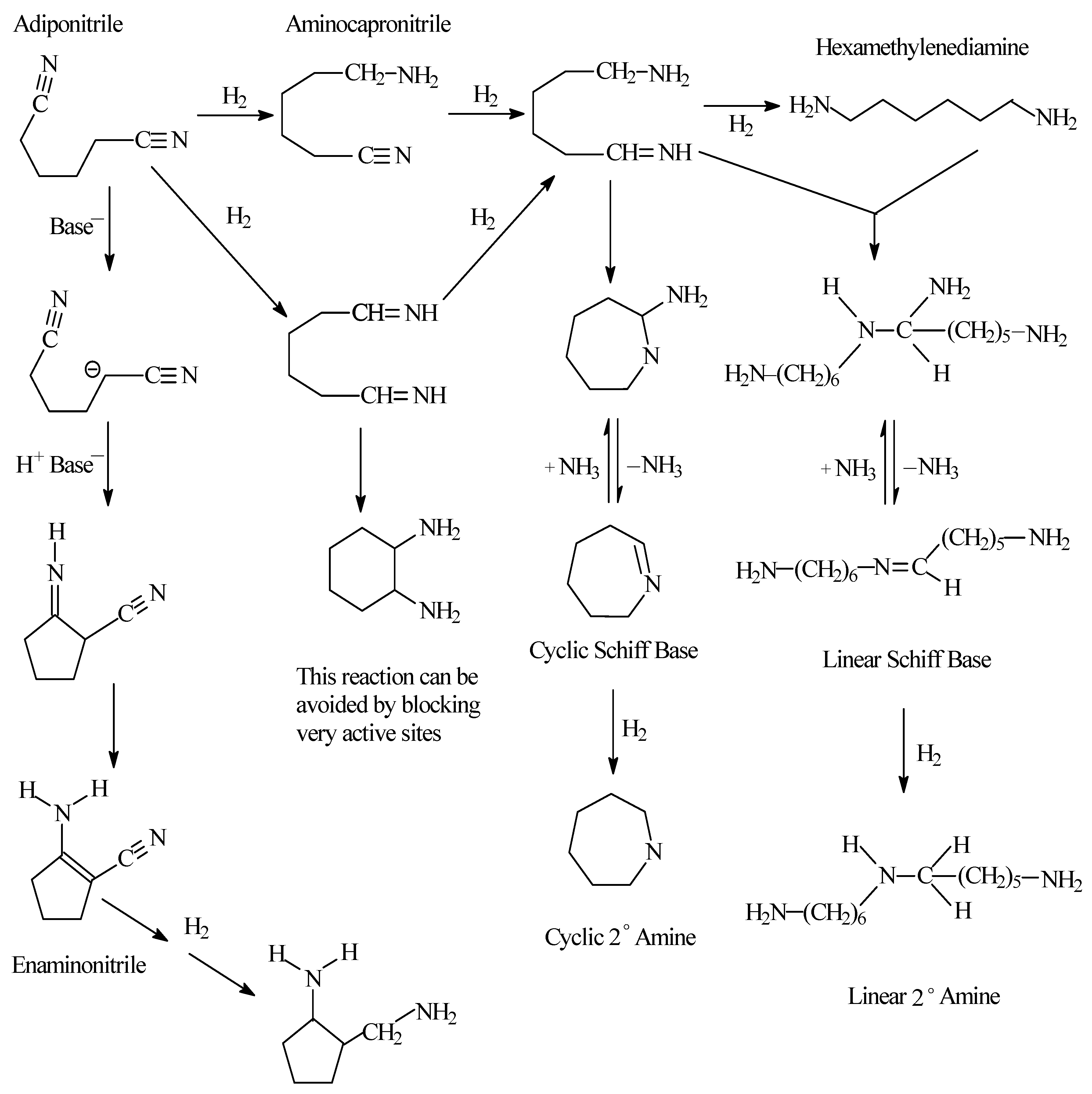 Catalysts 13 00934 g007