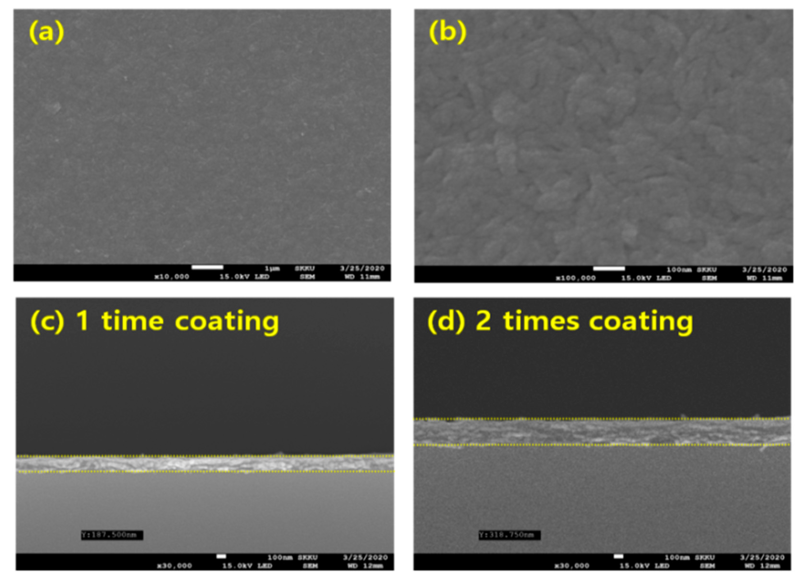 Catalysts 13 00935 g001