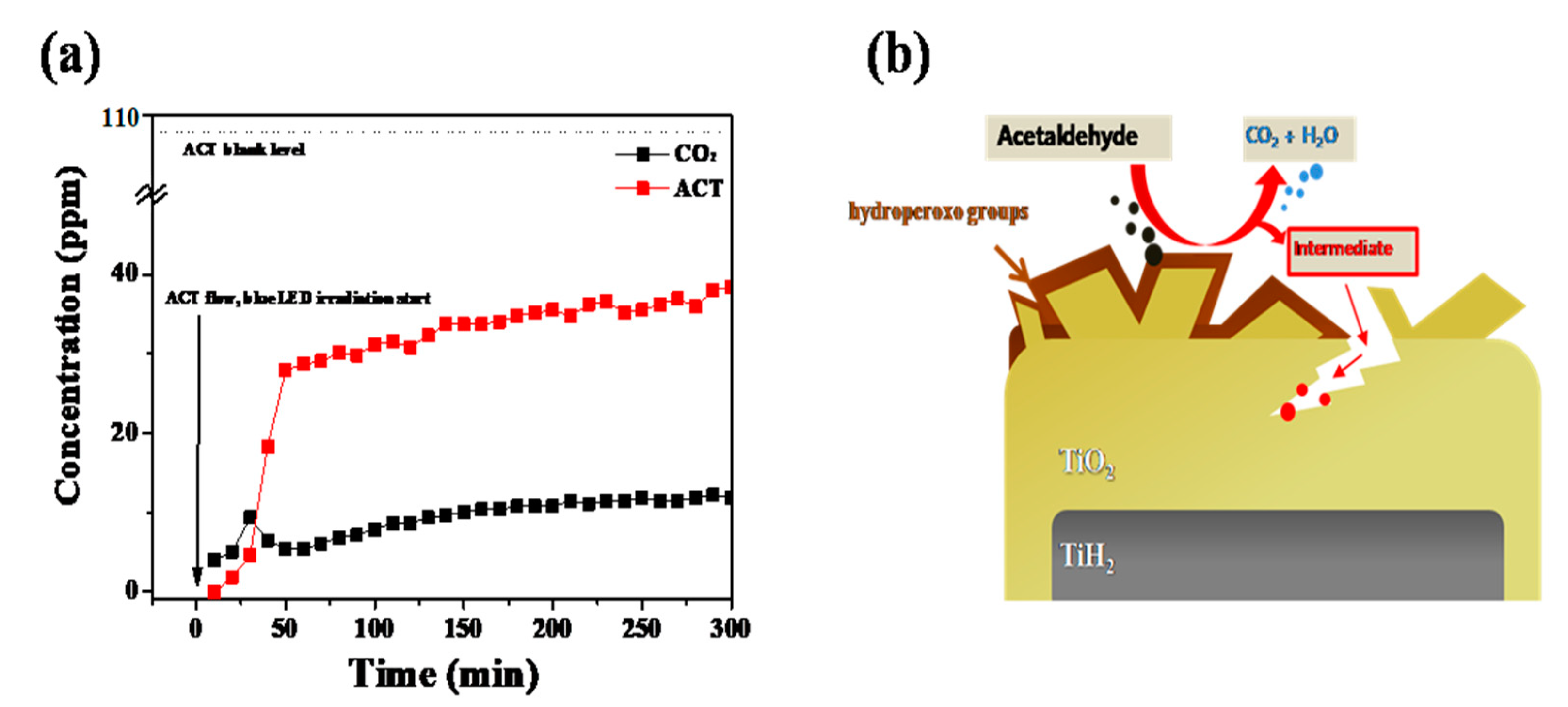 Catalysts 13 00935 g003