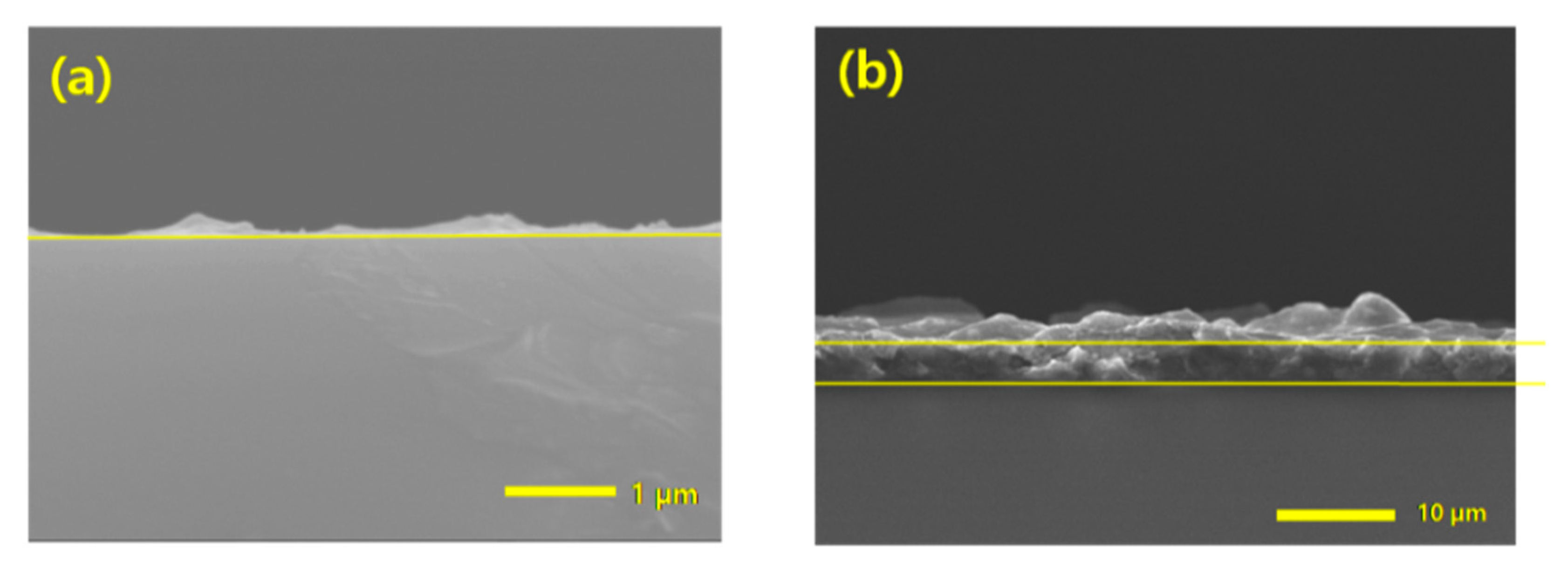 Catalysts 13 00935 g005
