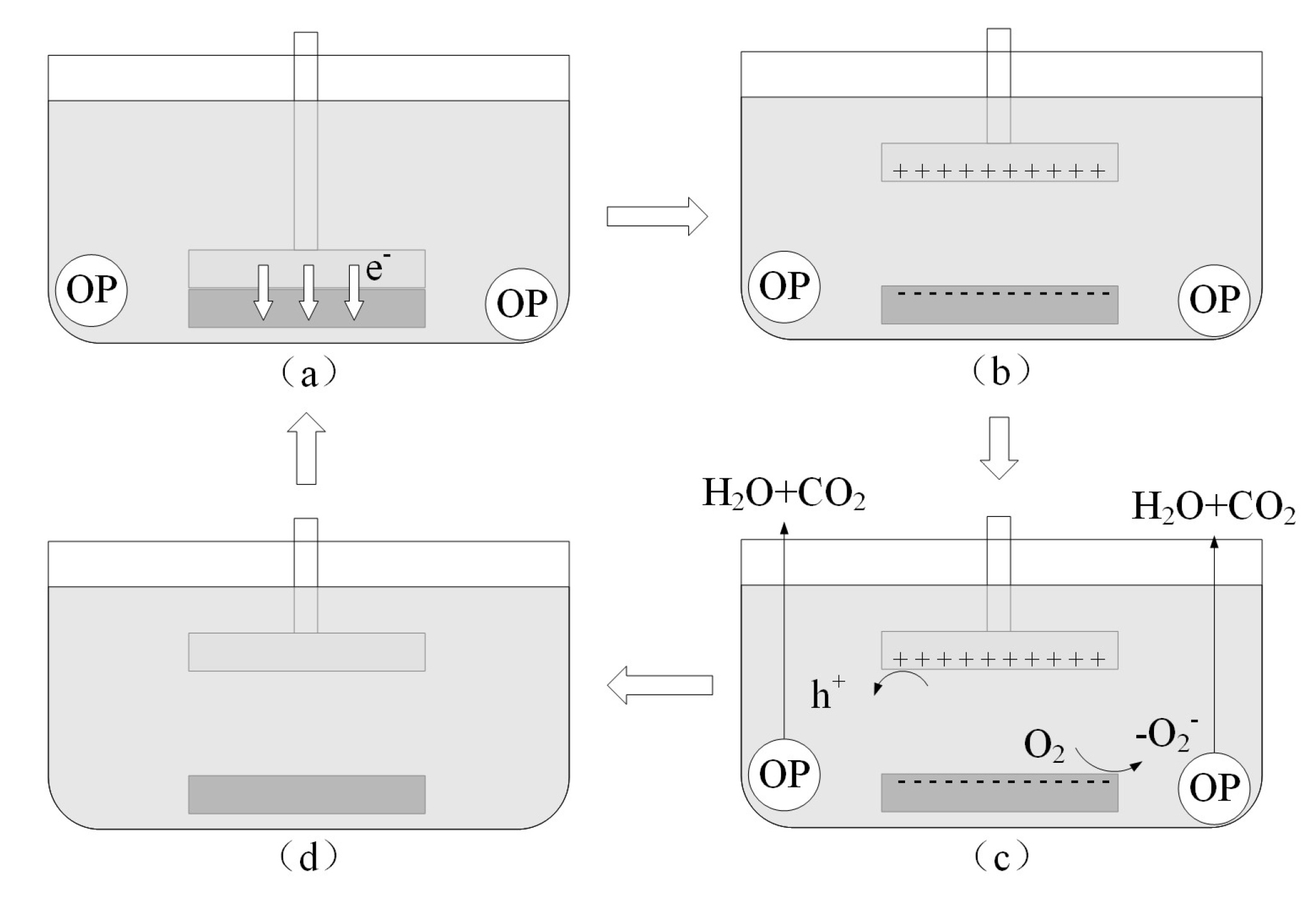 Catalysts 13 00936 g008