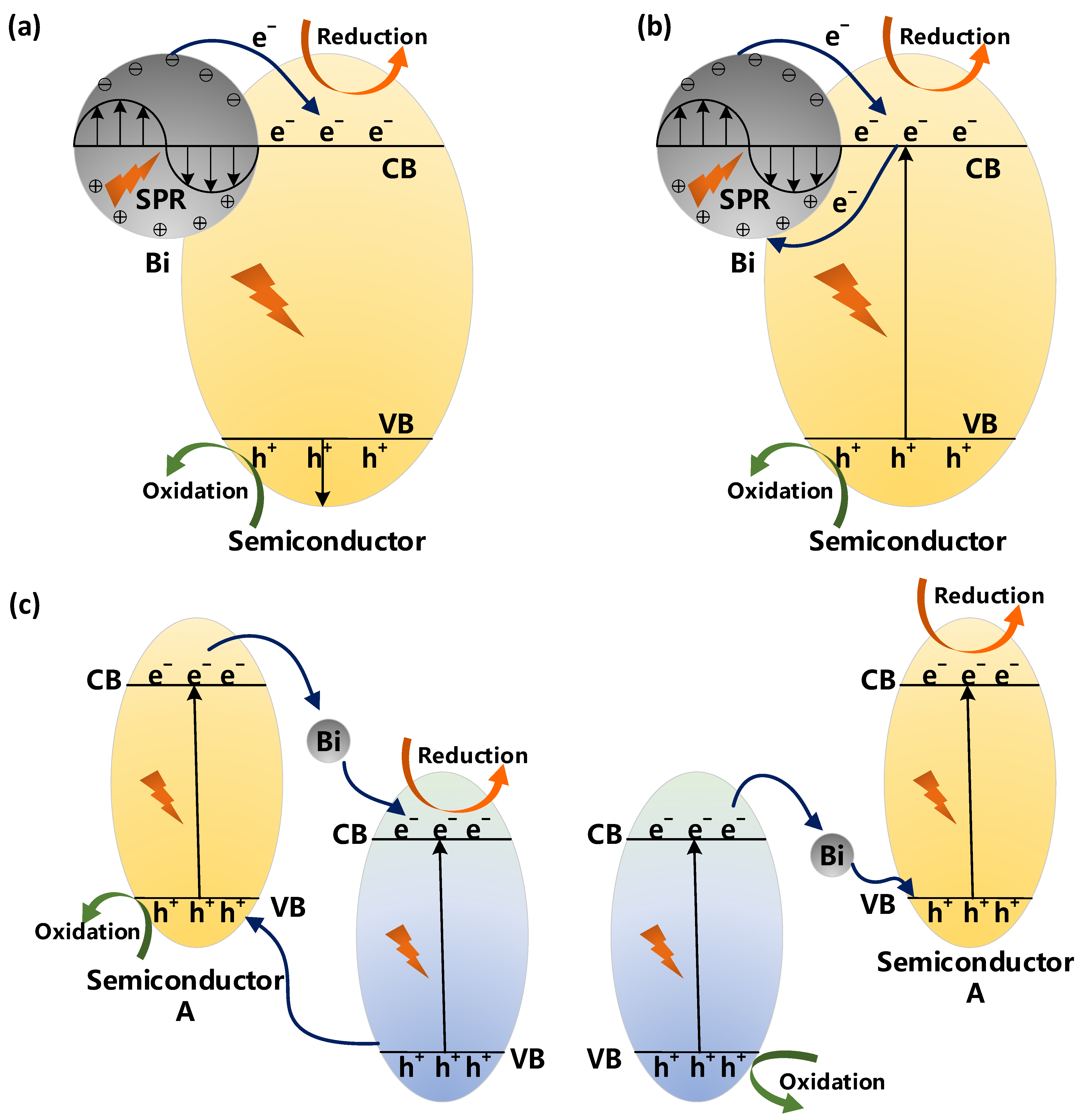 Catalysts 13 00940 g002