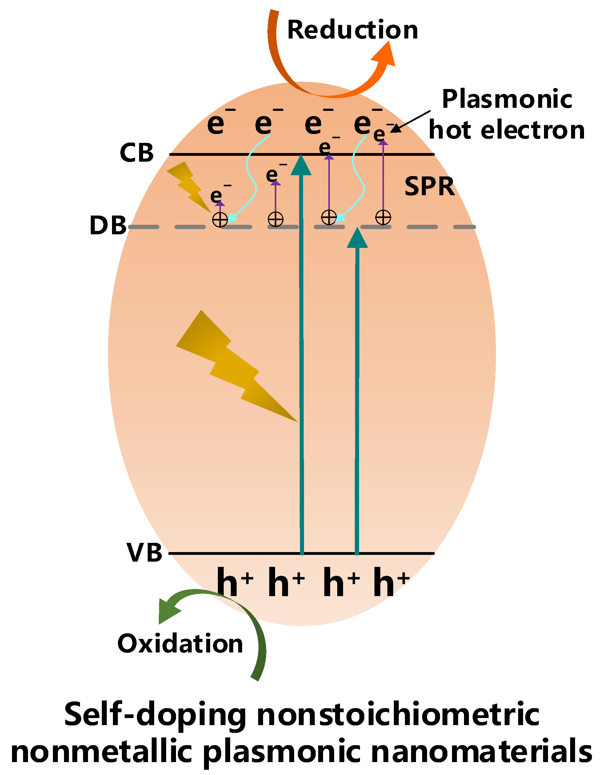 Catalysts 13 00940 g003