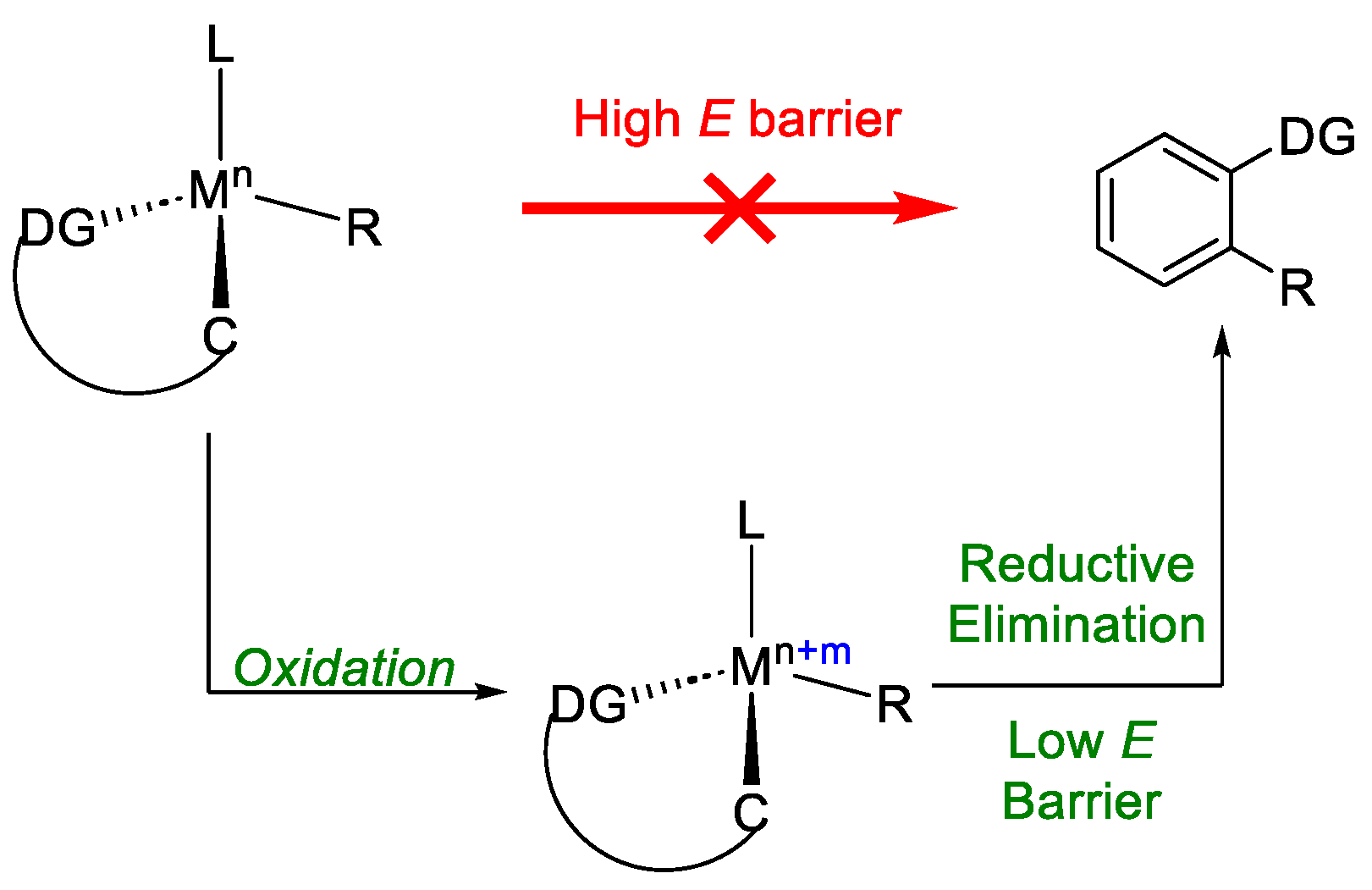 Catalysts 13 00944 g007