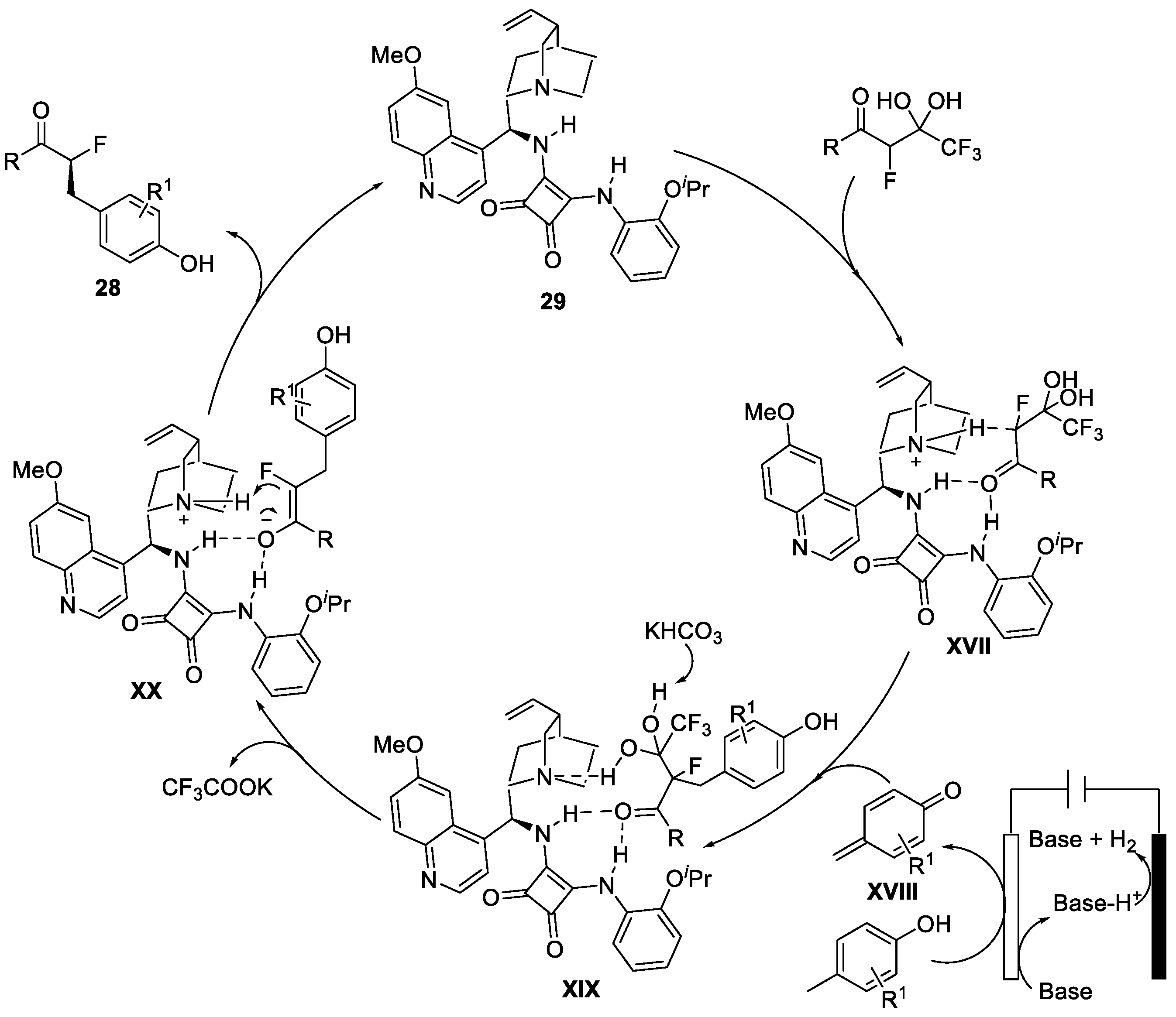 Catalysts 13 00944 g010