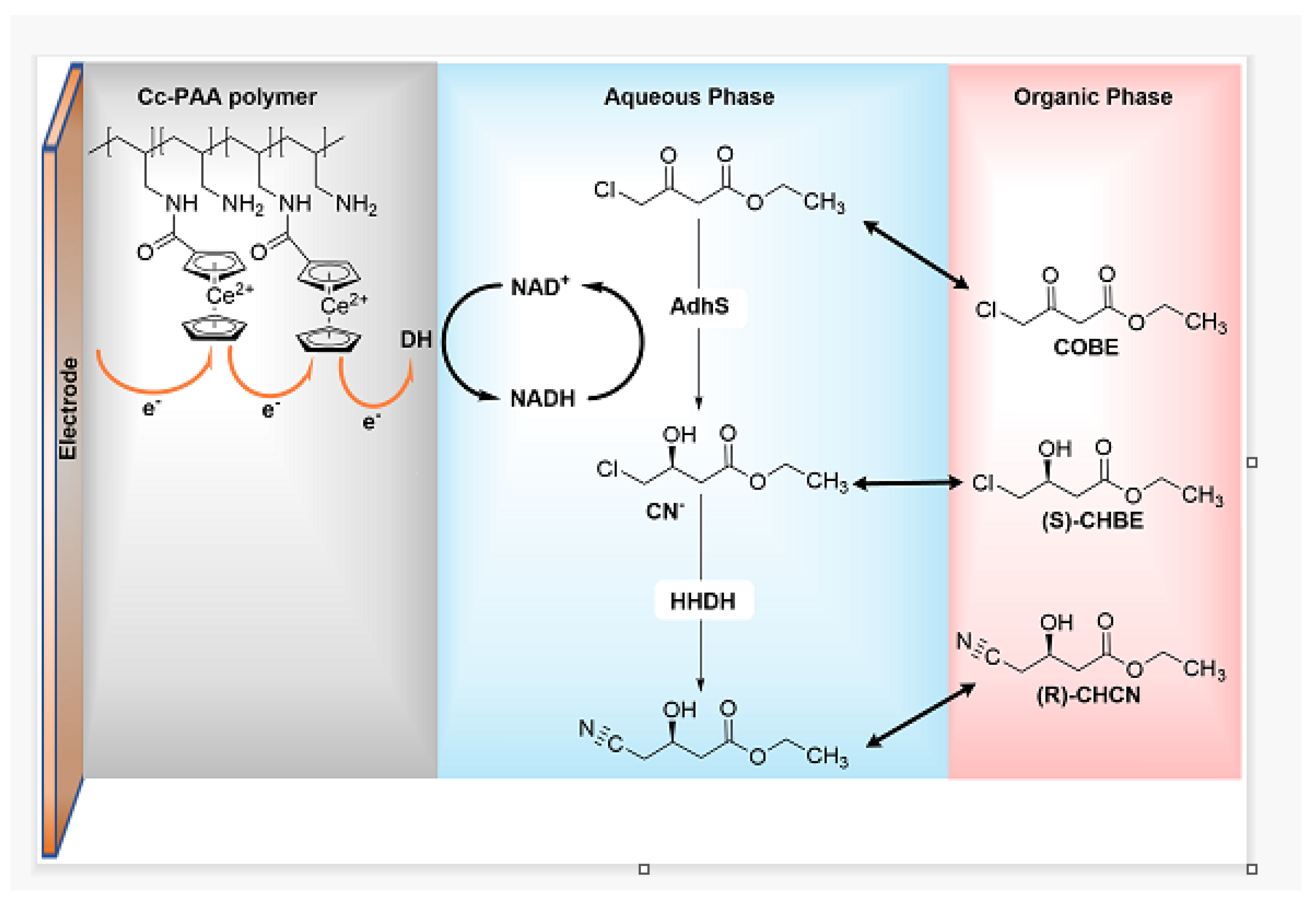 Catalysts 13 00944 g013