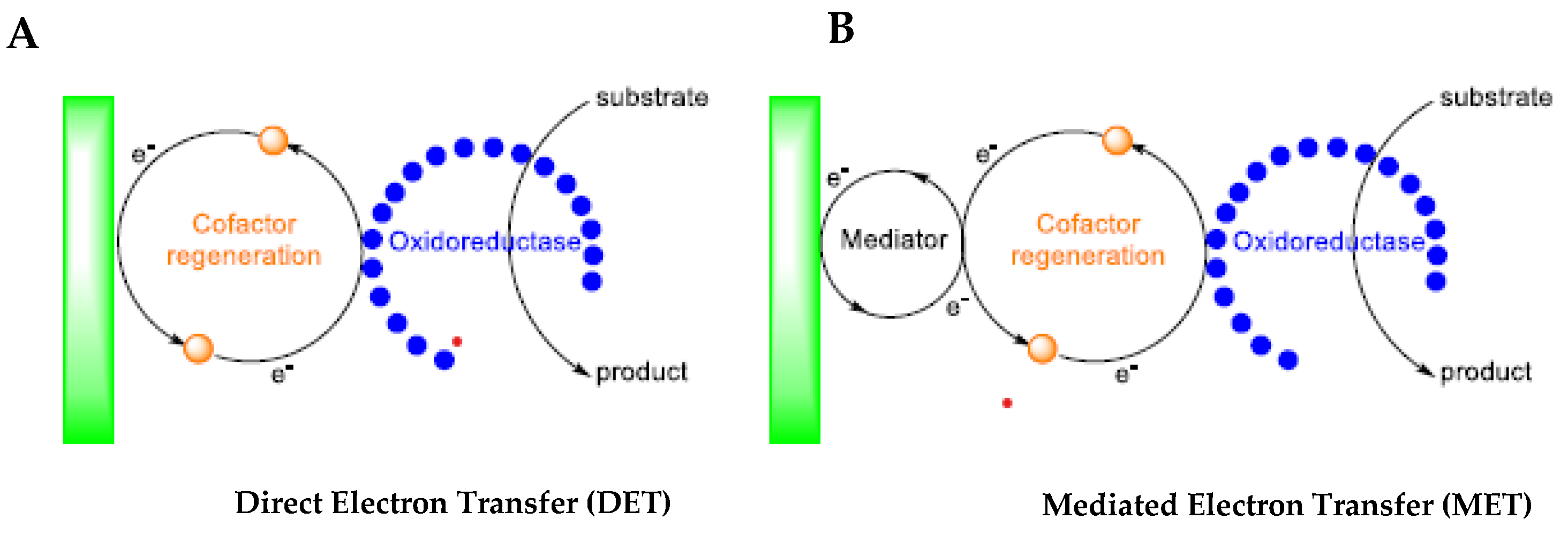 Catalysts 13 00944 g015