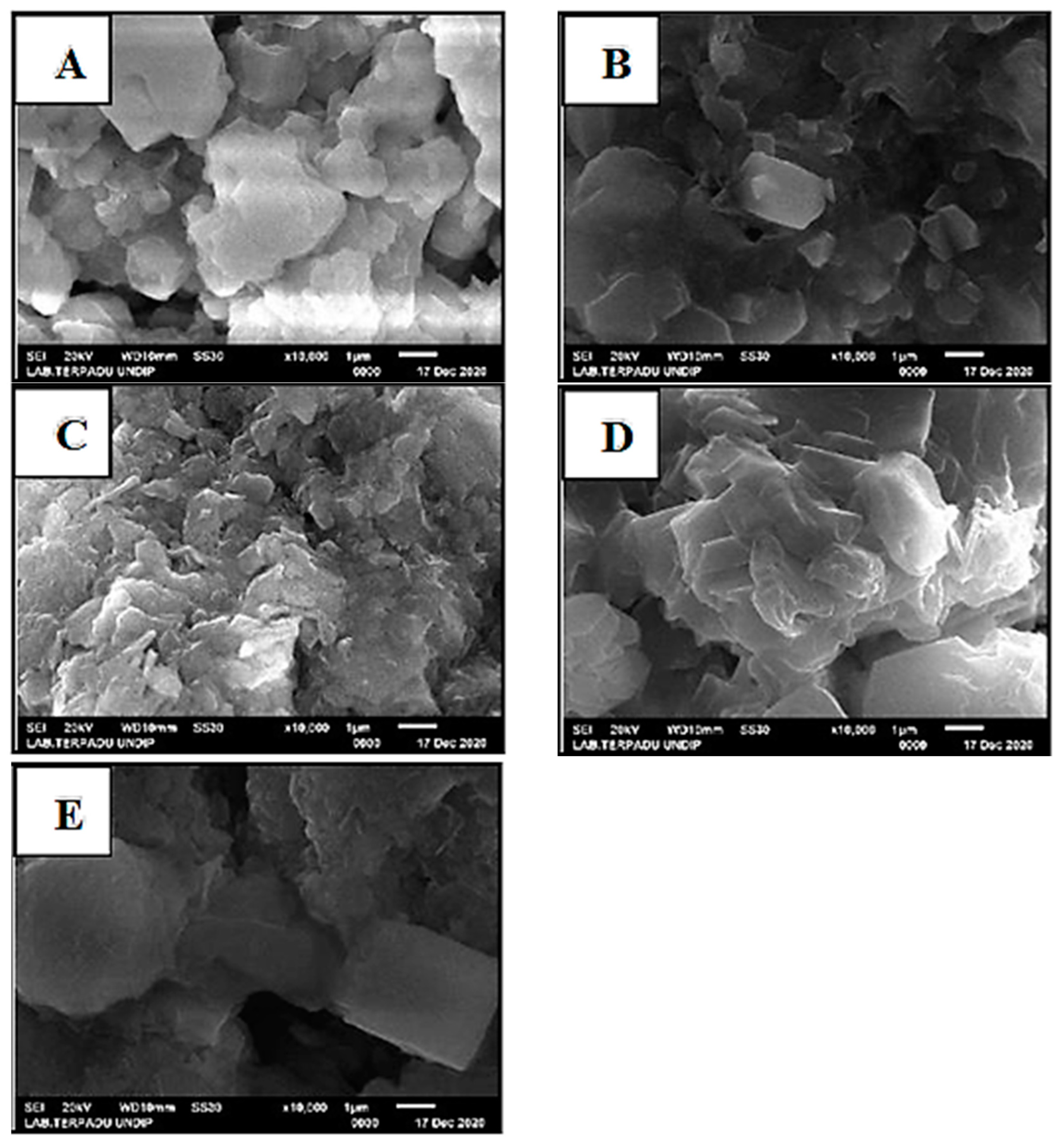 Catalysts 13 00945 g006