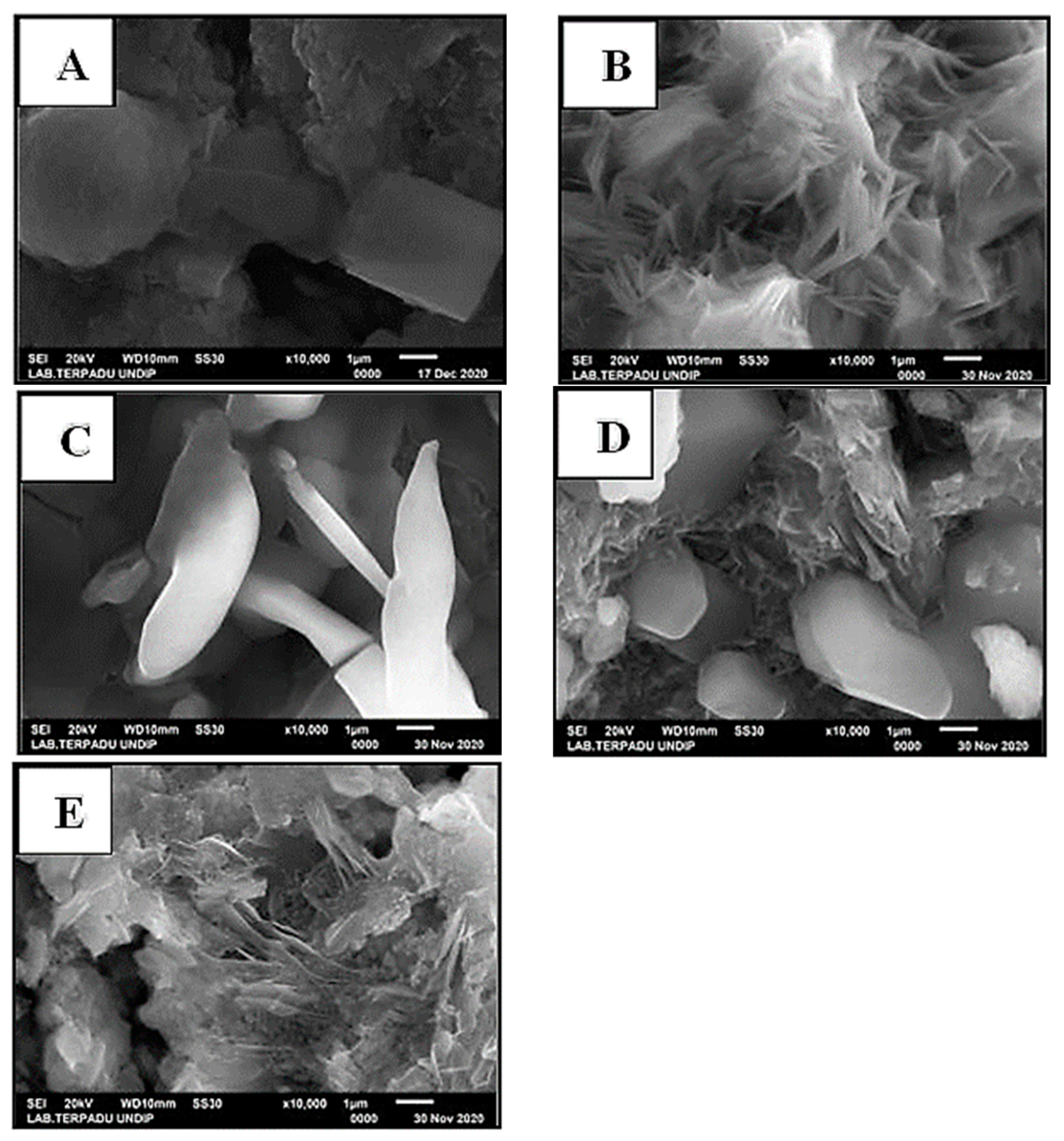 Catalysts 13 00945 g012