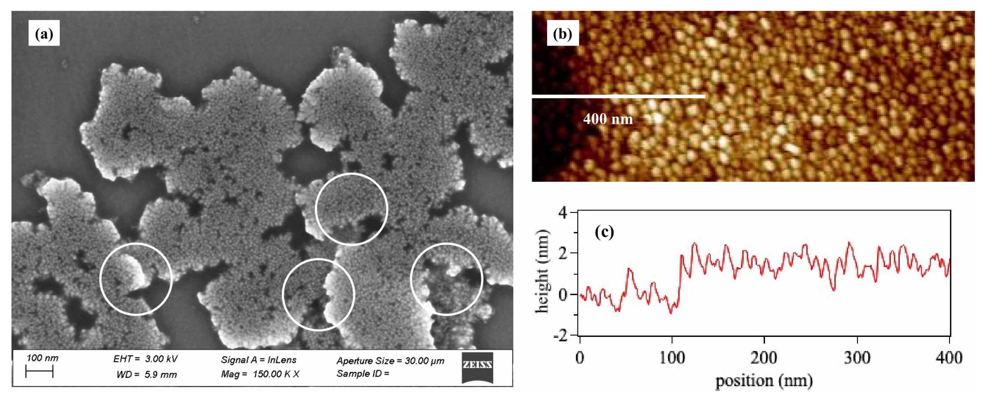 Catalysts 13 00946 g004 Catalysts 13 00946 g004