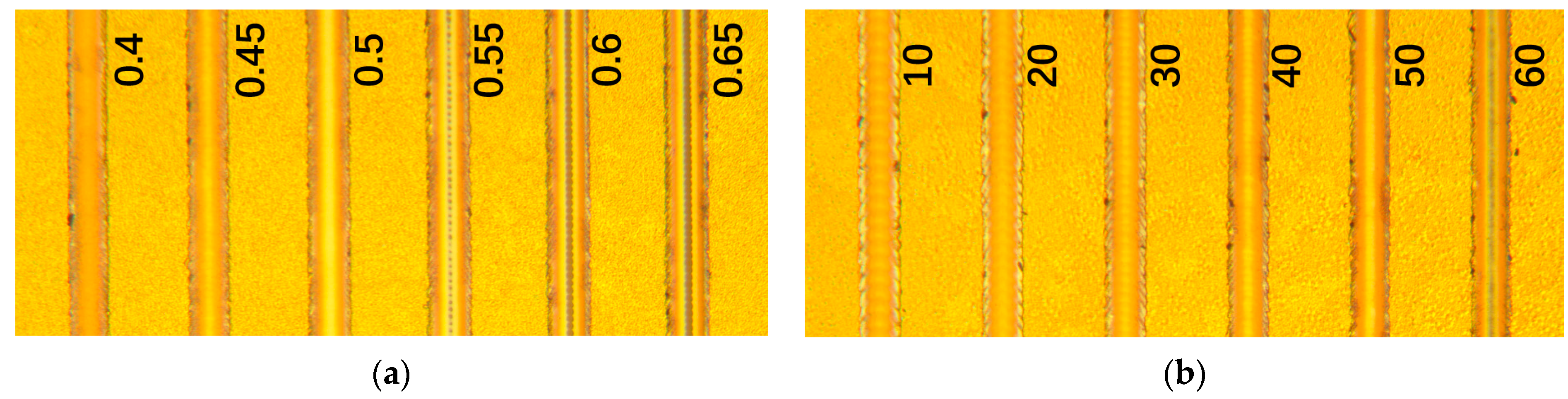 Catalysts 13 00953 g003