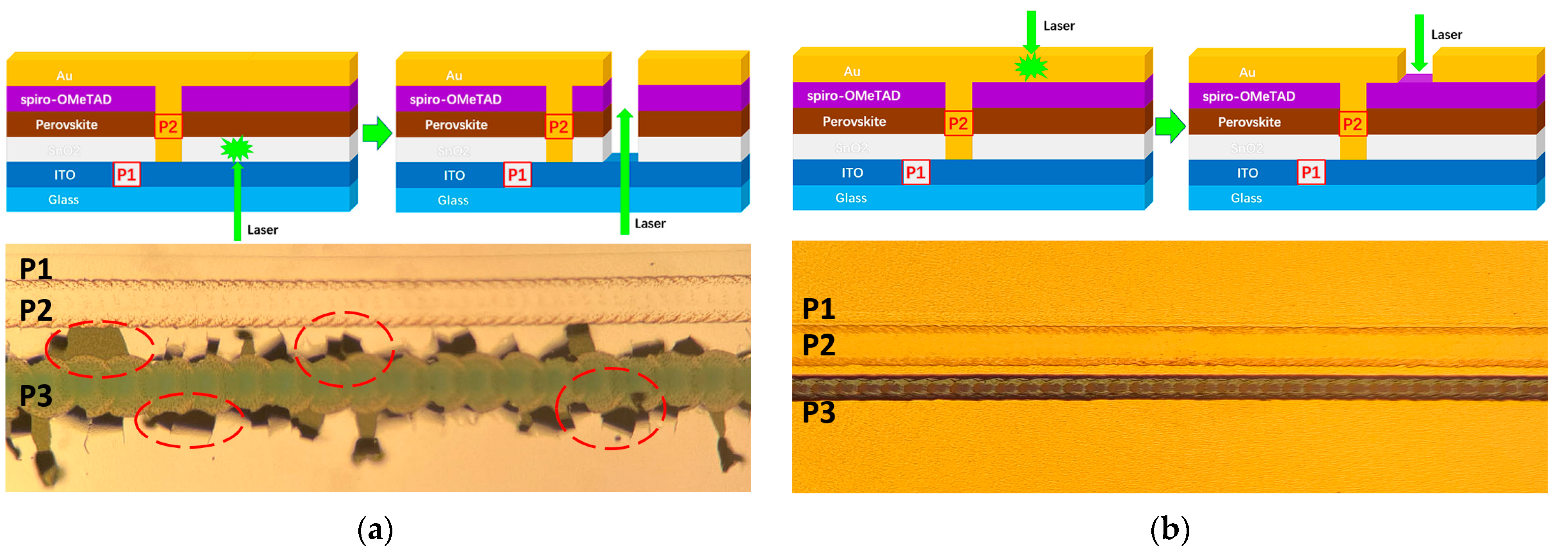 Catalysts 13 00953 g006