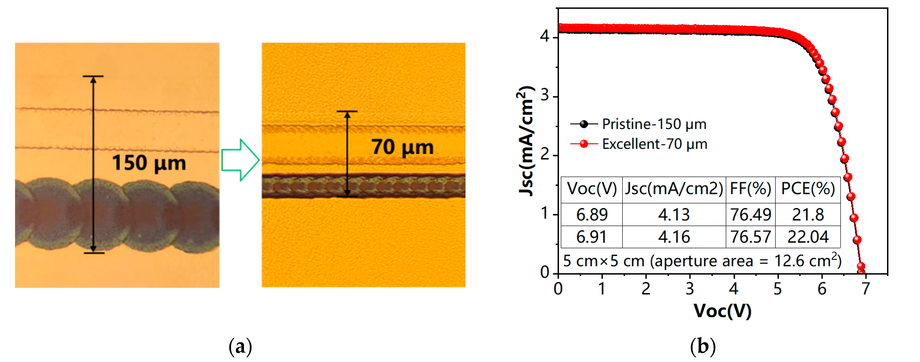 Catalysts 13 00953 g007