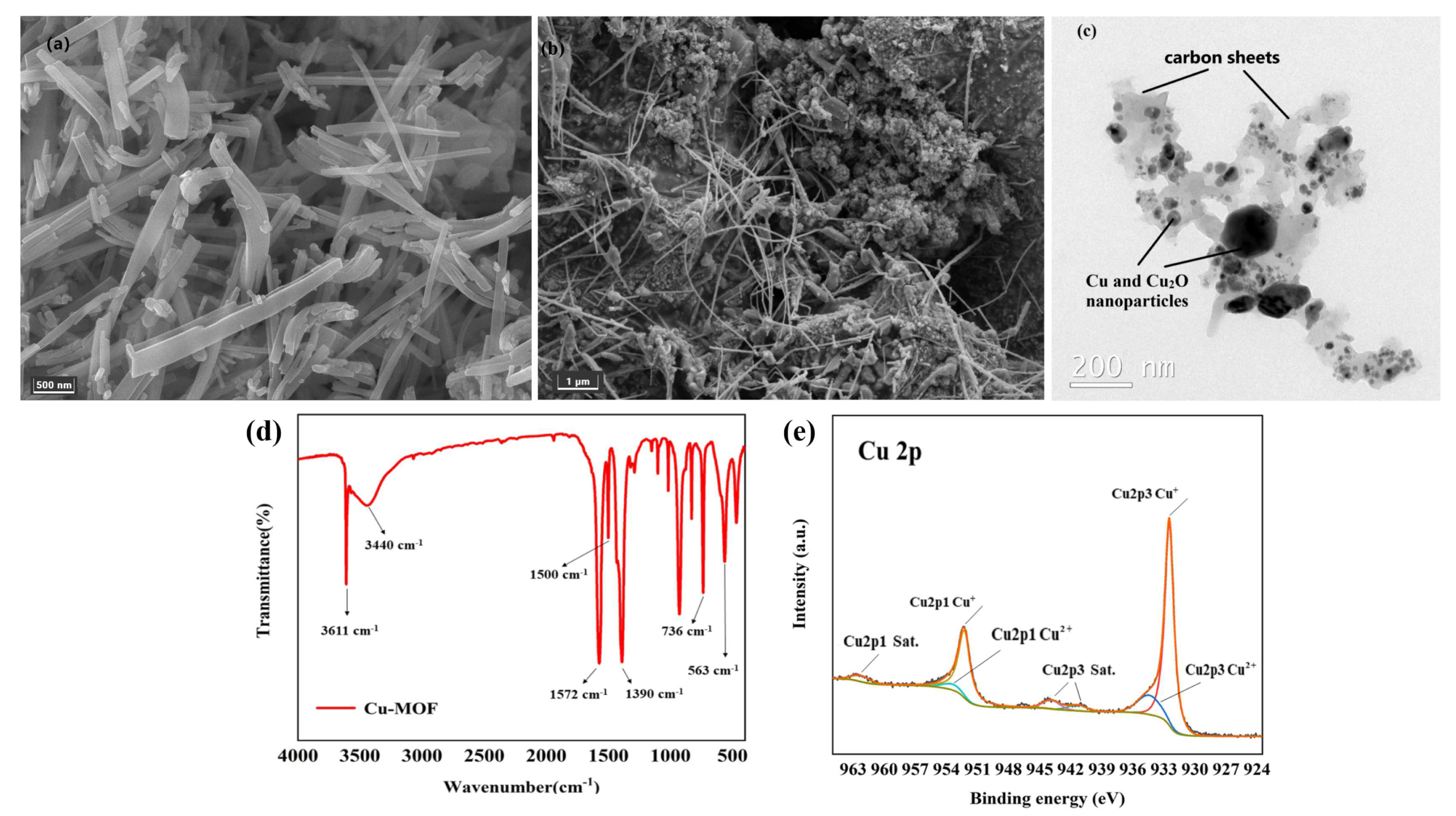 Catalysts 13 00956 g004