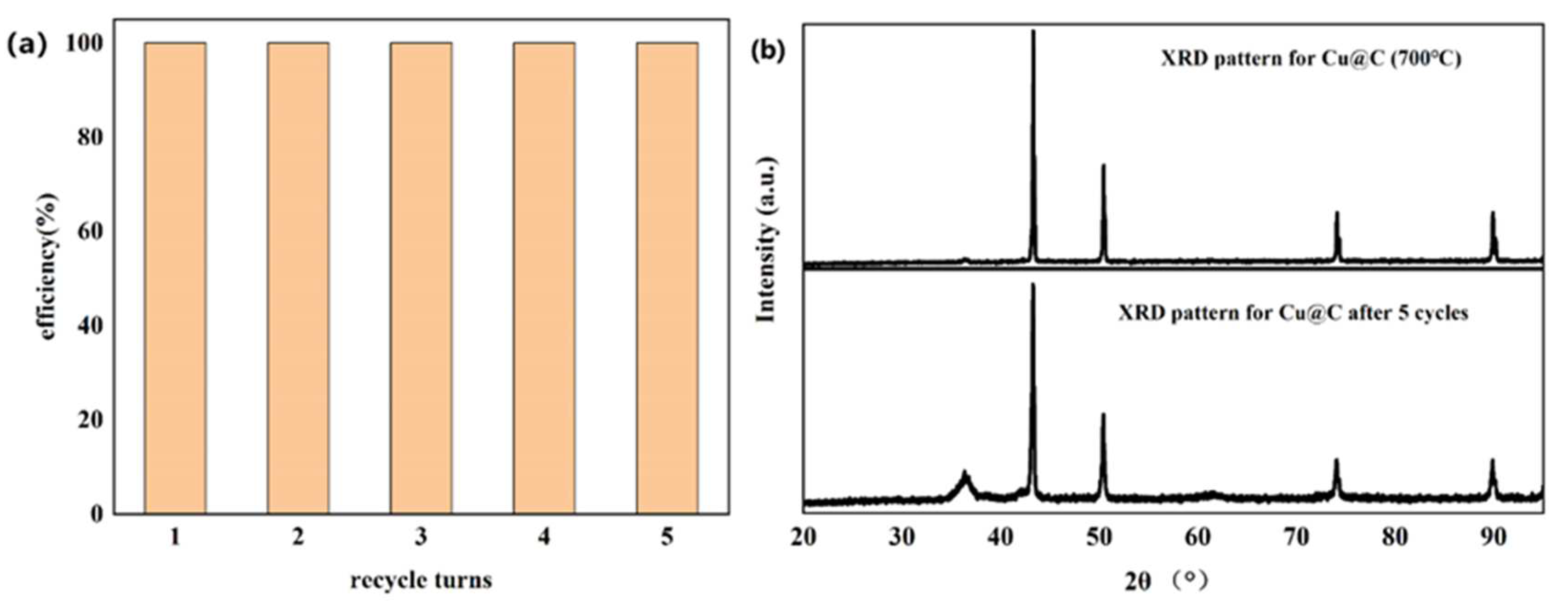 Catalysts 13 00956 g007