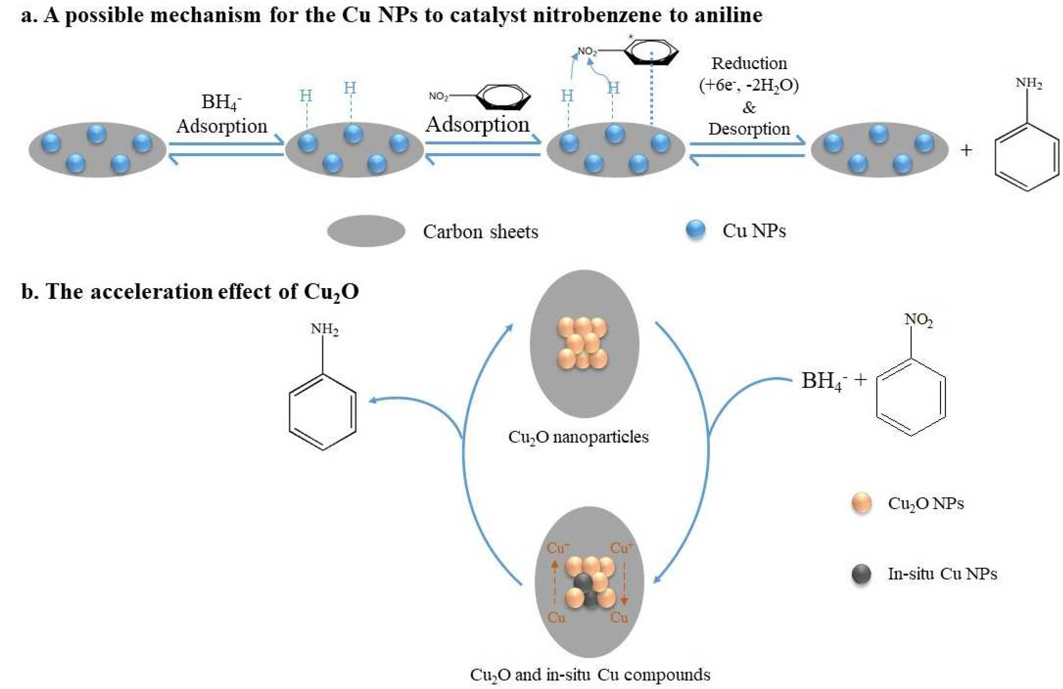 Catalysts 13 00956 g008