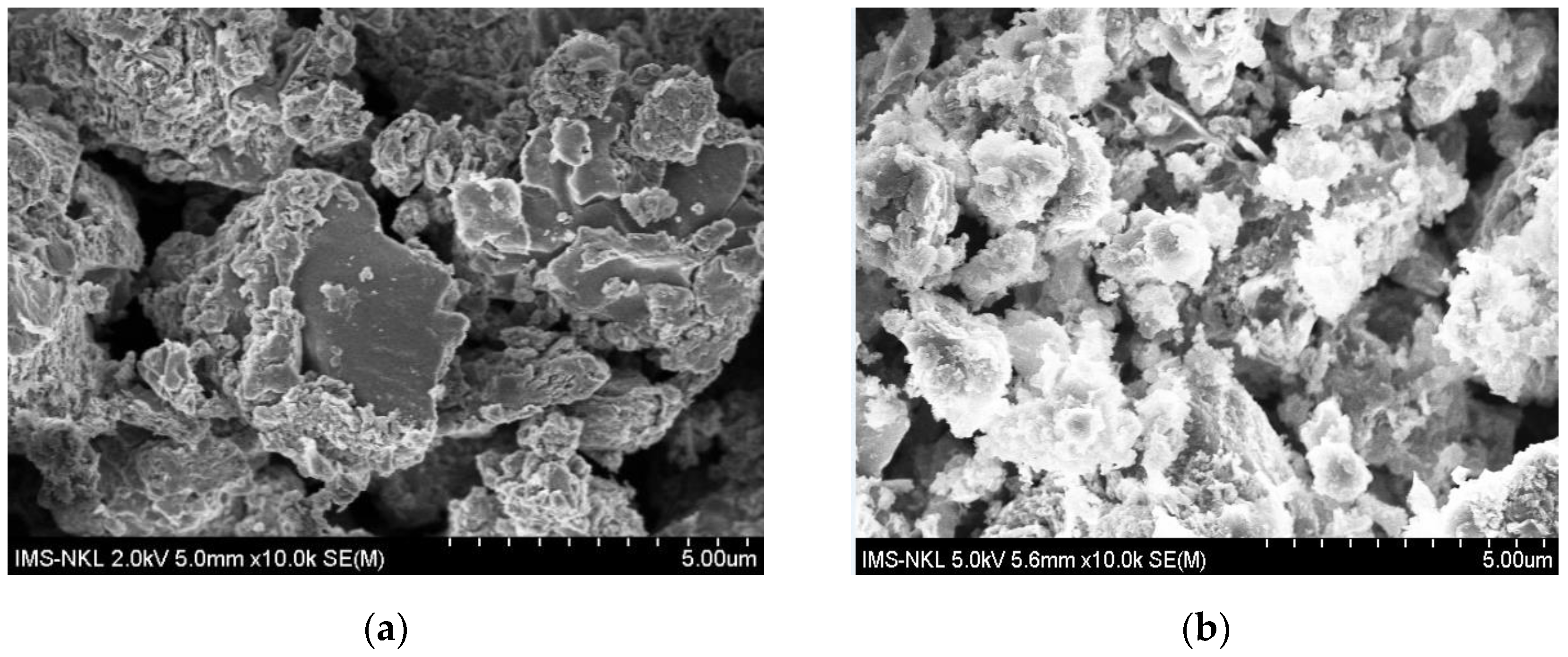 Catalysts 13 00964 g003