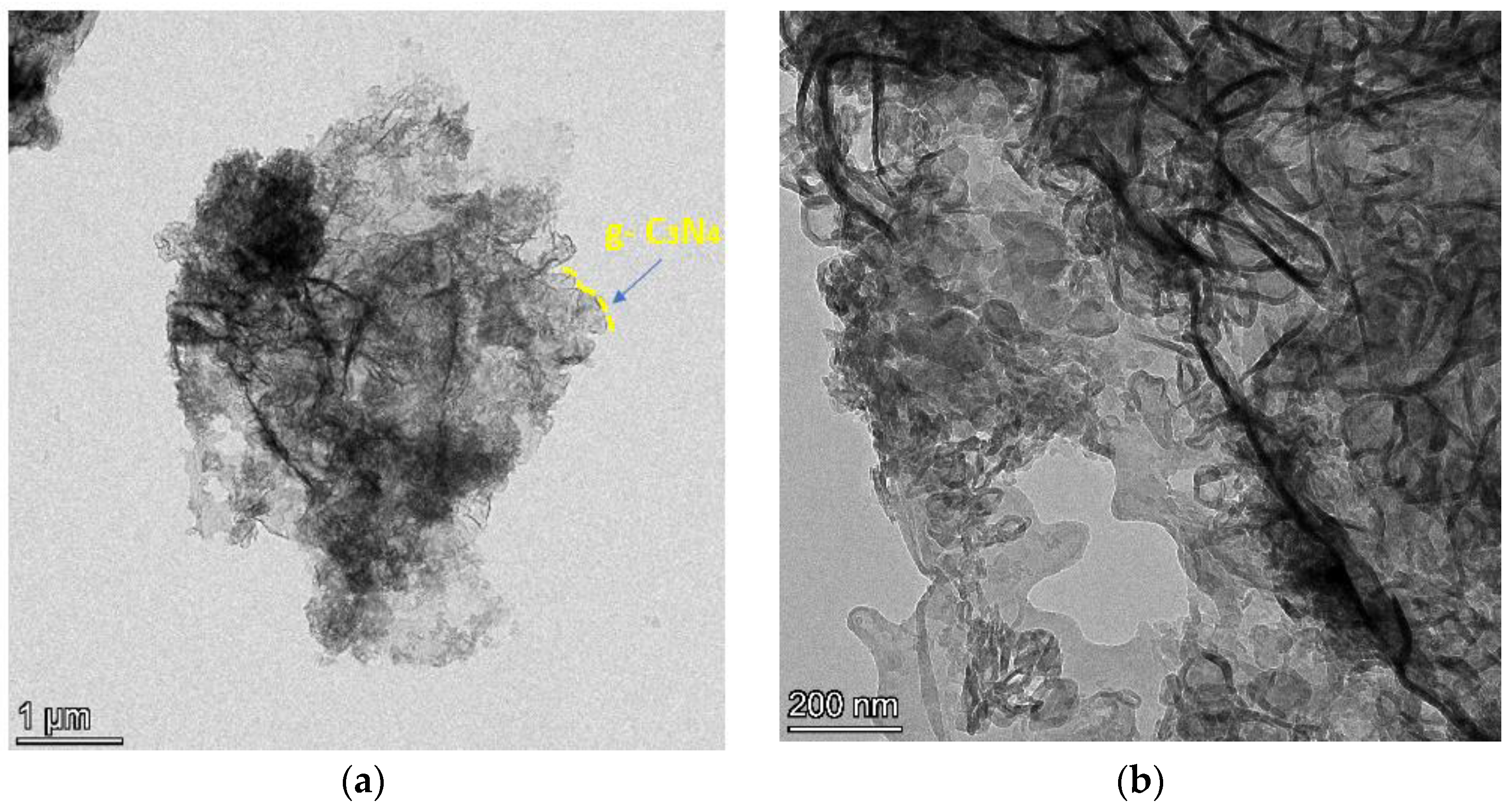 Catalysts 13 00964 g007a