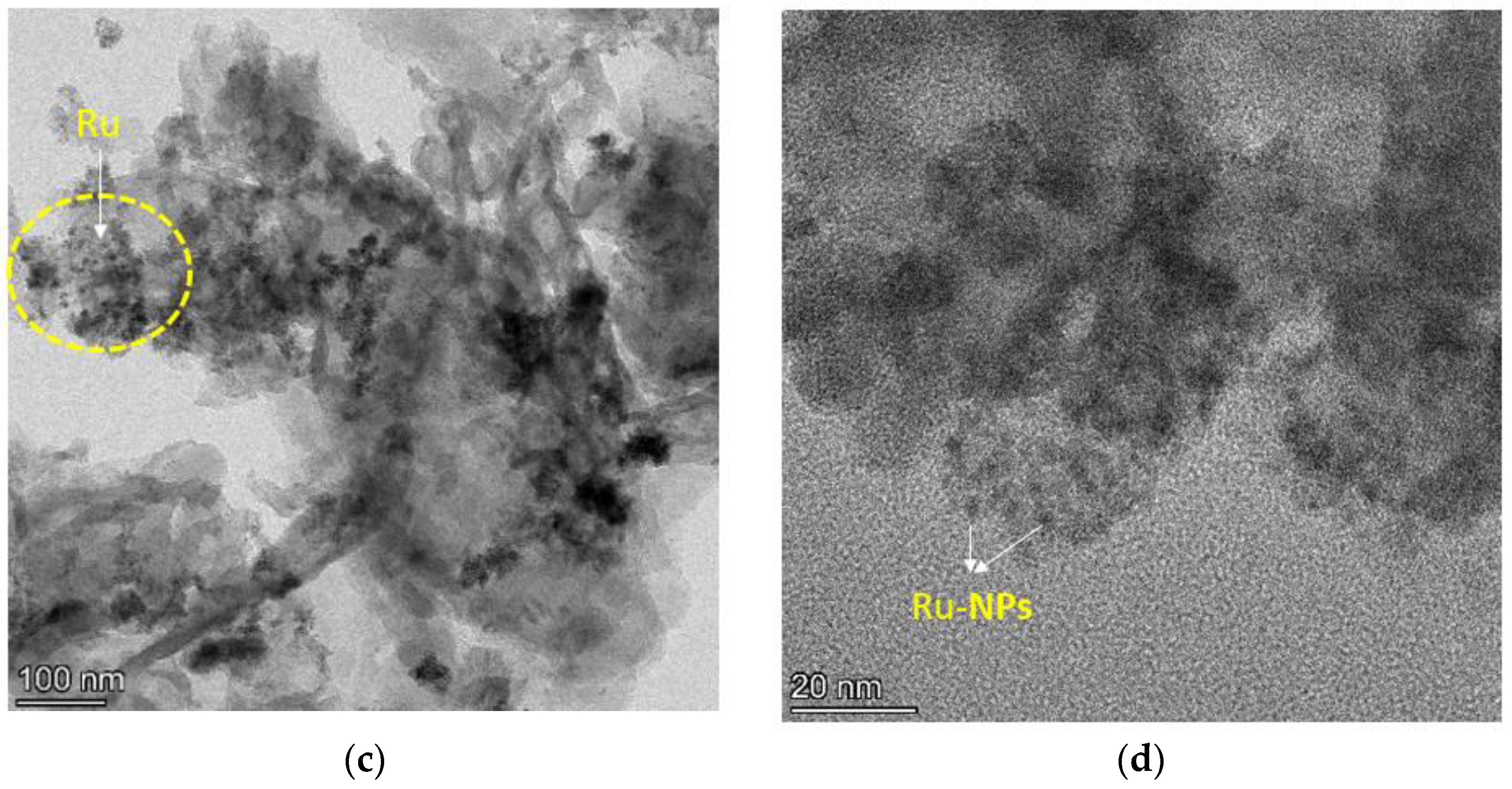 Catalysts 13 00964 g007b