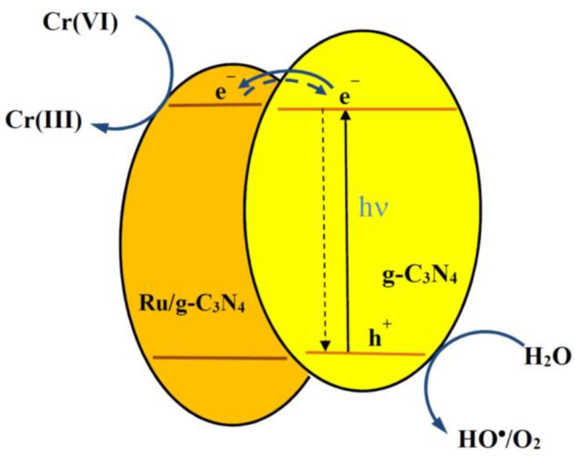 Catalysts 13 00964 g010