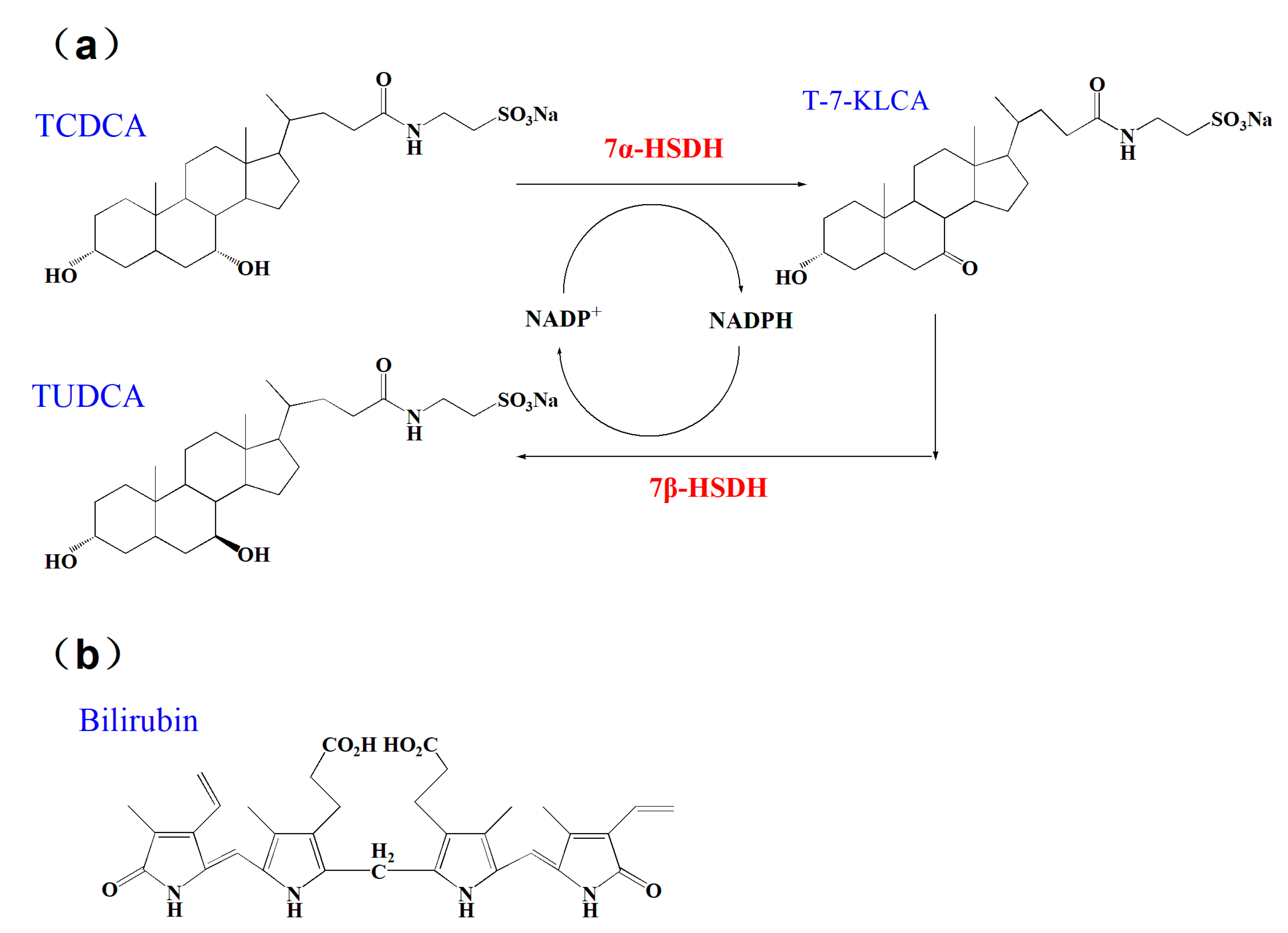 Catalysts 13 00965 g001