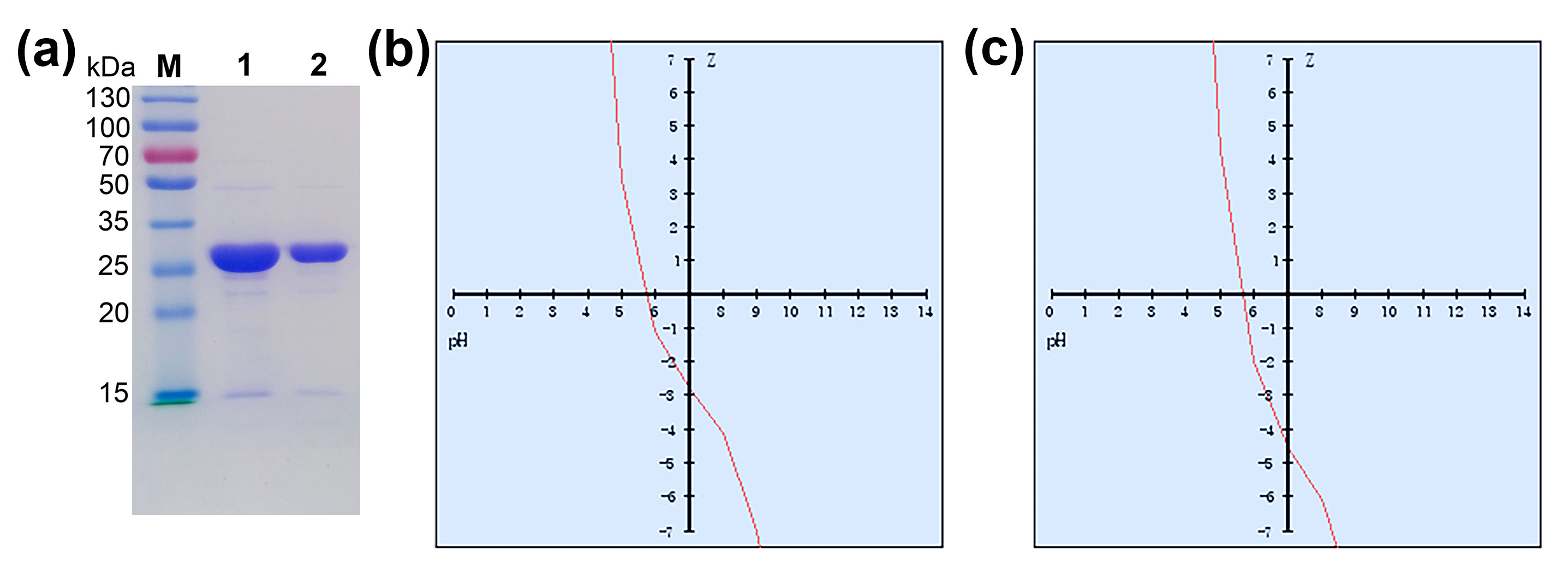 Catalysts 13 00965 g002