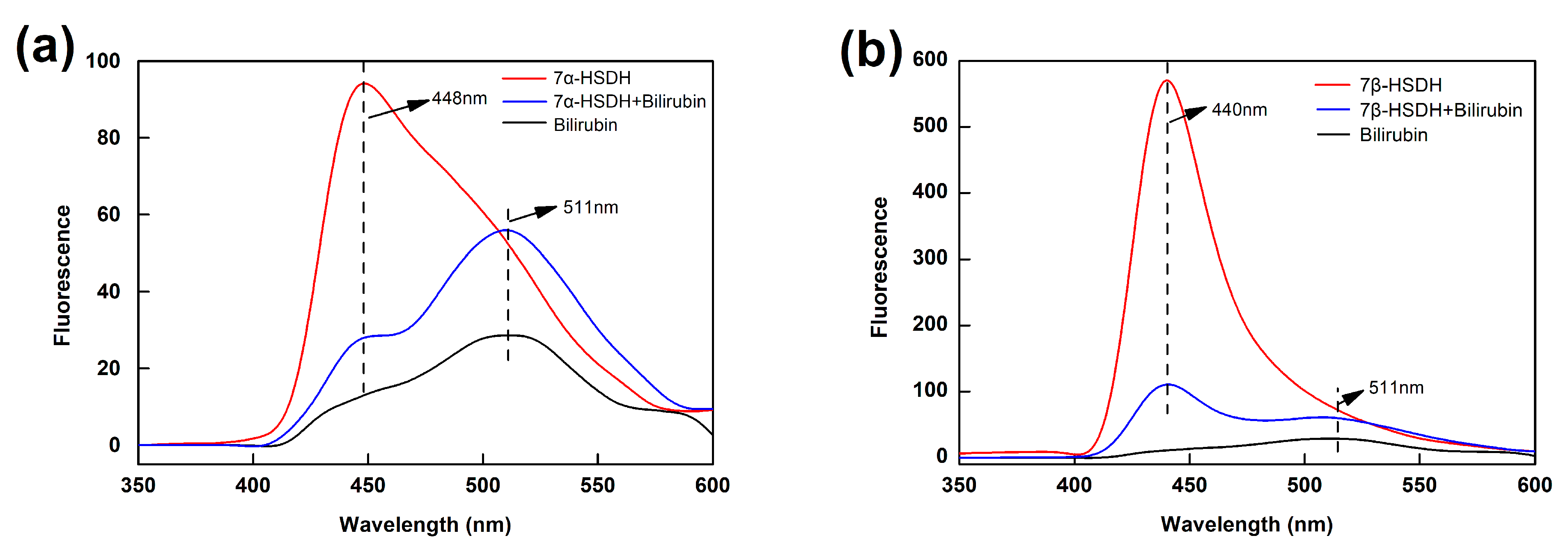 Catalysts 13 00965 g007