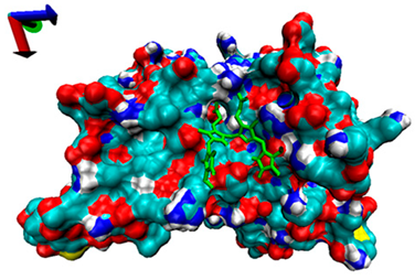 Catalysts 13 00965 i001