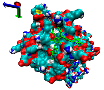 Catalysts 13 00965 i003