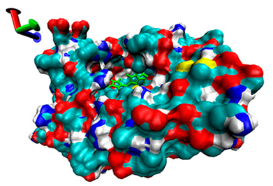 Catalysts 13 00965 i004