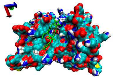 Catalysts 13 00965 i005