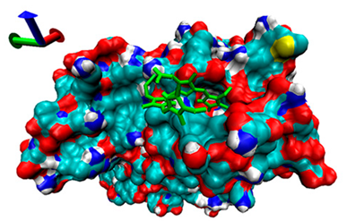 Catalysts 13 00965 i006