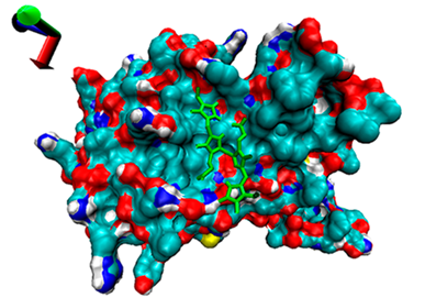 Catalysts 13 00965 i007