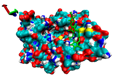 Catalysts 13 00965 i008