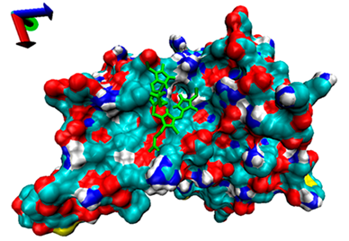 Catalysts 13 00965 i009