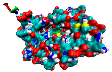 Catalysts 13 00965 i010