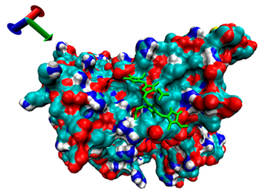 Catalysts 13 00965 i011