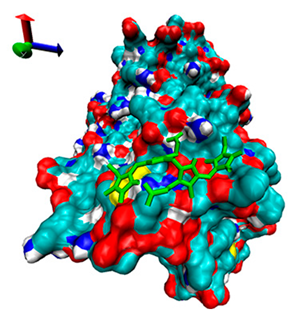 Catalysts 13 00965 i012