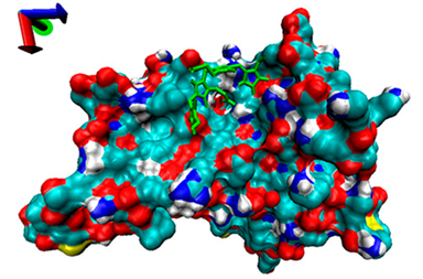 Catalysts 13 00965 i013