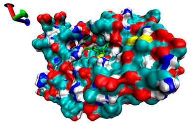 Catalysts 13 00965 i014