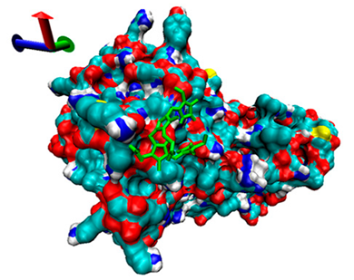 Catalysts 13 00965 i015